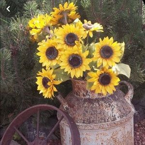 Meet your Posher, Debi